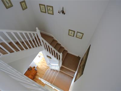 Picture 13